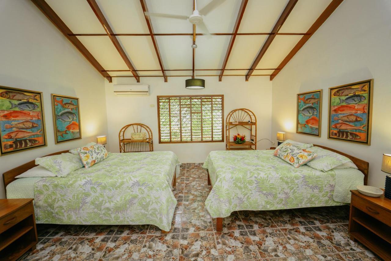 Dreamy Contentment Matapalo  ภายนอก รูปภาพ