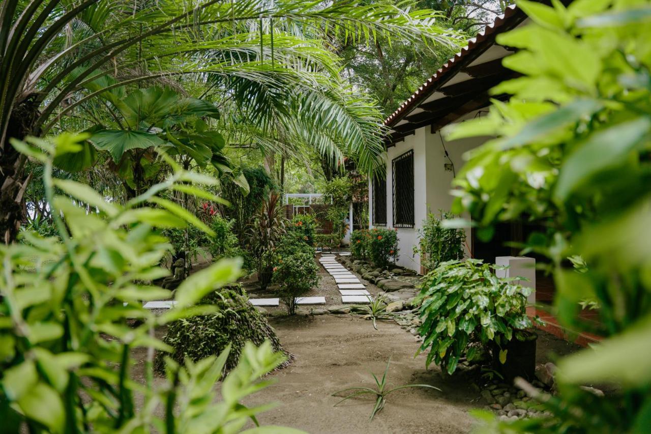 Dreamy Contentment Matapalo  ภายนอก รูปภาพ